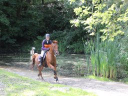 IMG_1371_web
